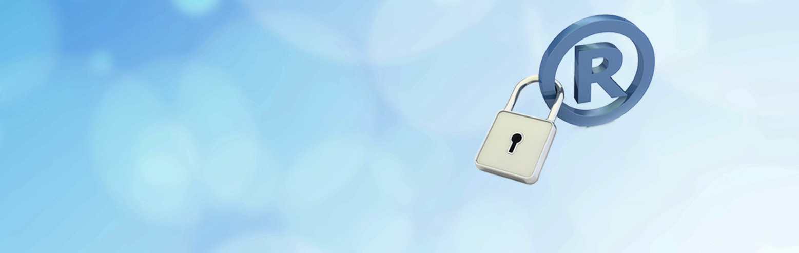 Tu marca protegida y exclusiva garantizada